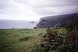 Pololu Tal